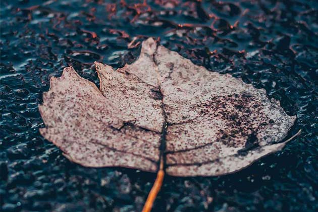 Ambient Rain Sound