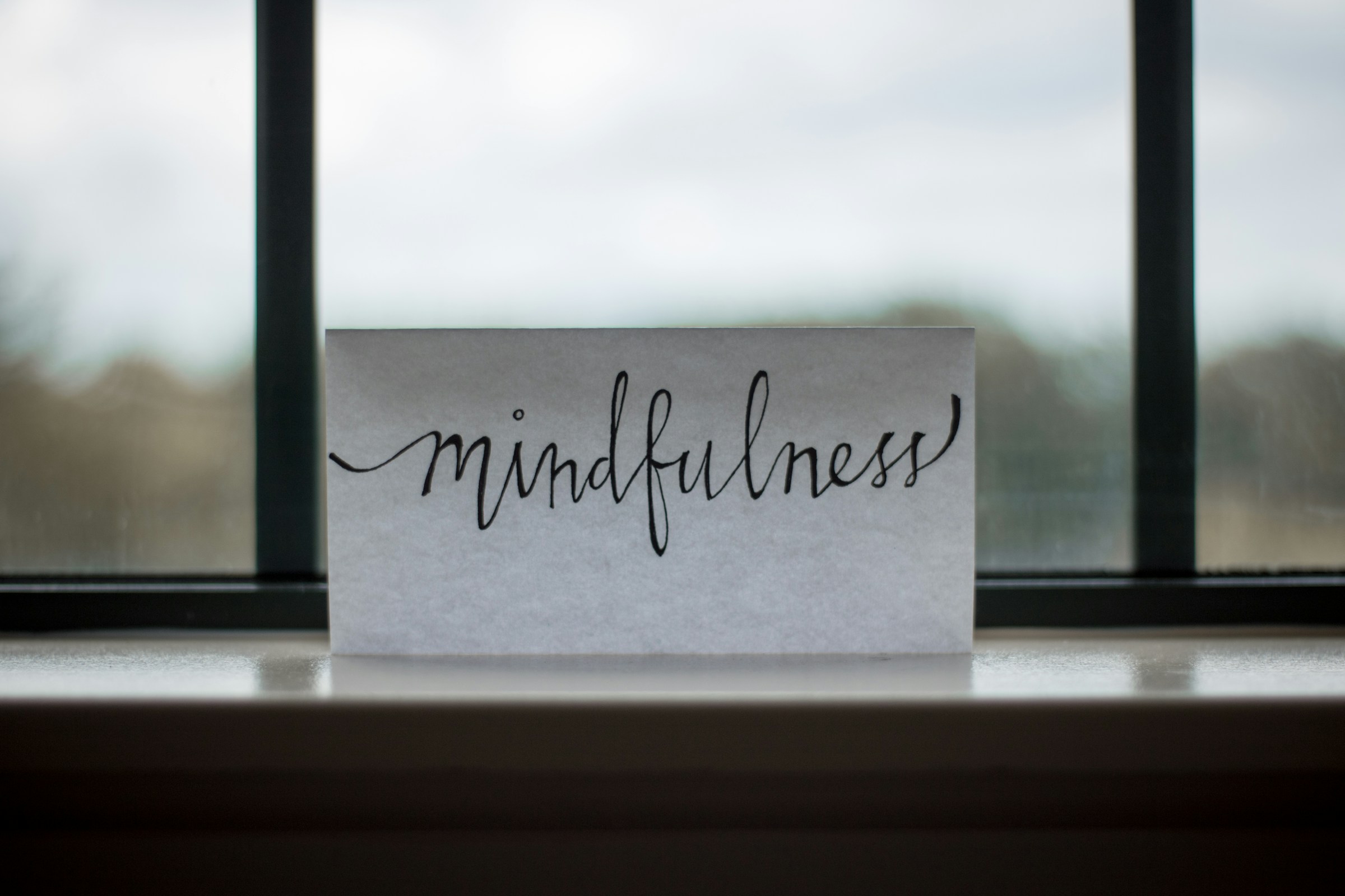 Finding Power in the Pause: A Reflection on Viktor Frankl.